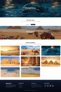 DST_gallery_200x300
